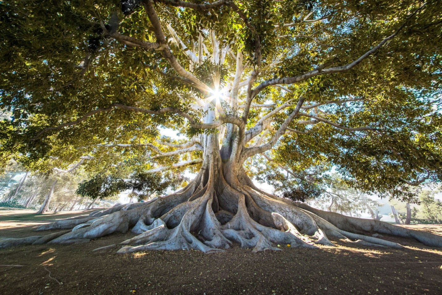 1-jeremy-bishop-EwKXn5CapA4-unsplashEdit