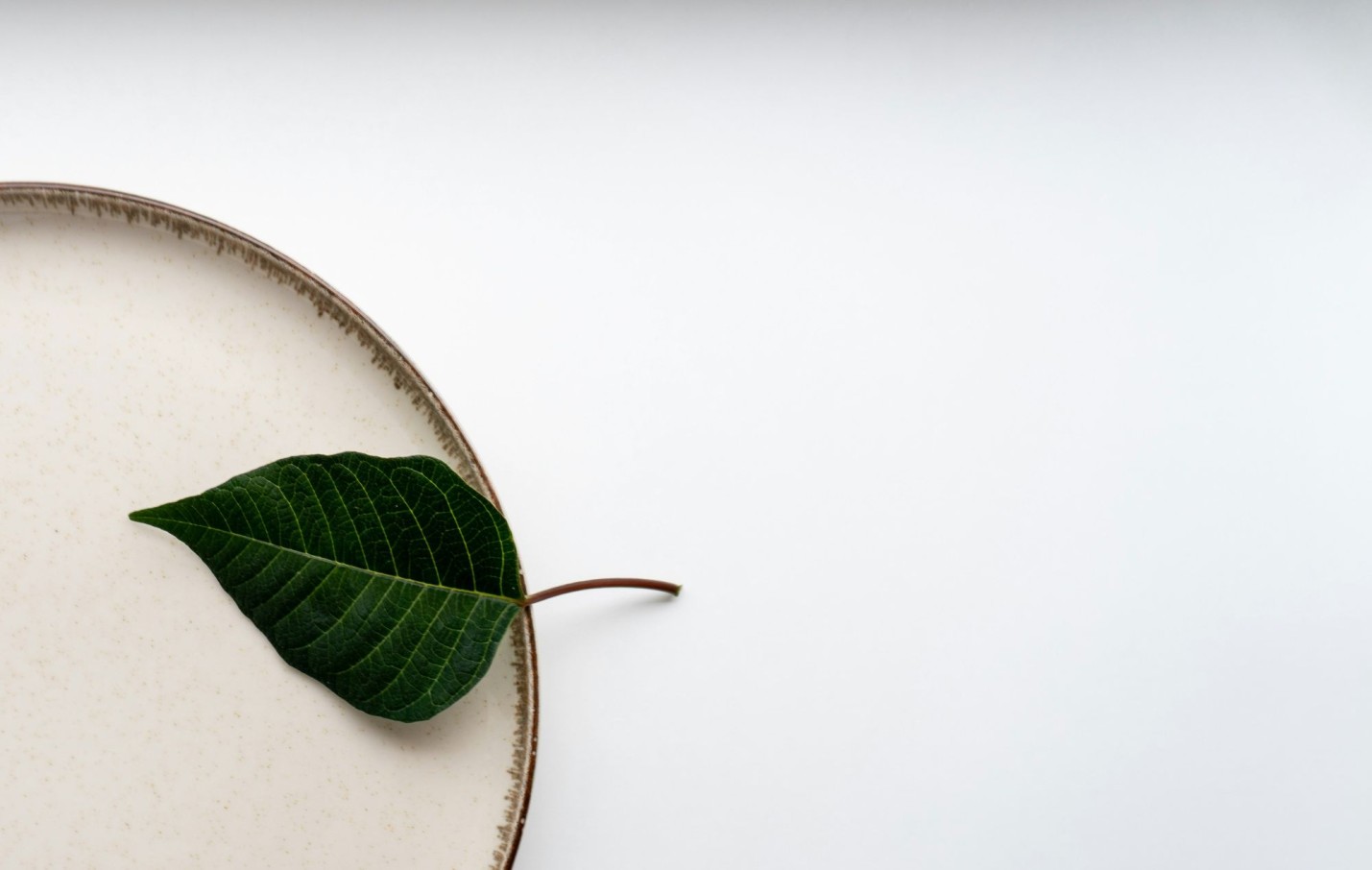 Favorisiert  john-vid-YOQ0QeTpMfo-unsplash