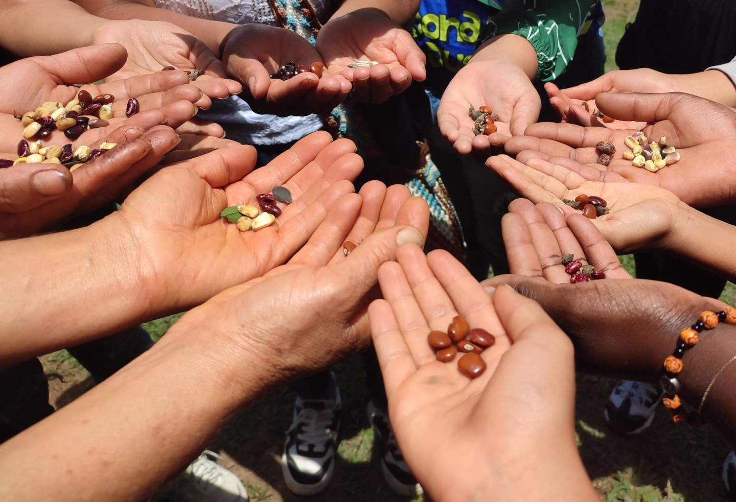 41_BL_8_ Birsfelden_ohne Legende