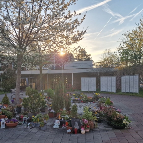 2026-04-05 Ostern Sonnenaufgang am Friedhof